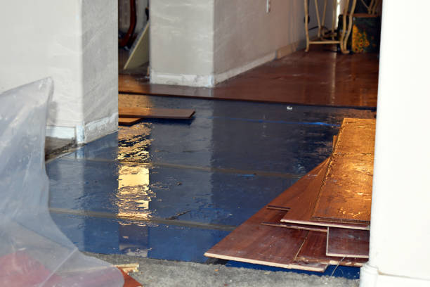 Professional Basement Flood Cleanup technician working in Pendleton, IN